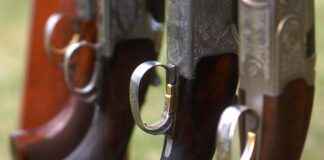 Rules for the Game Bags: Everything Hunters Need to Know Rules for the Game Bags: Everything Hunters Need to Know