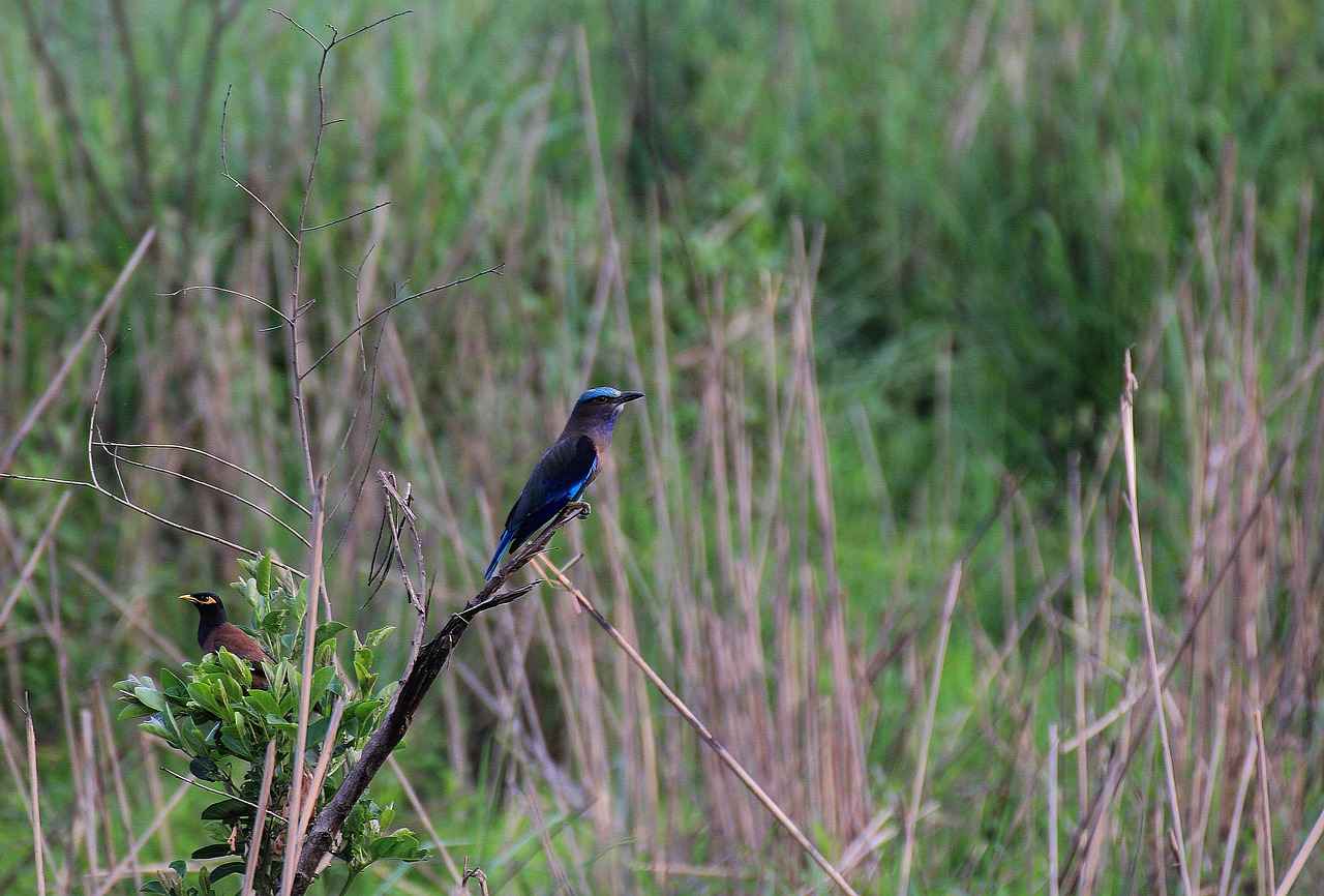 Key Player Statistics for the Pelicans