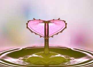 Salt Nic vs. Freebase E-Liquids: Which One is Better for You? Salt Nic vs. Freebase E-Liquids: Which One is Better for You?