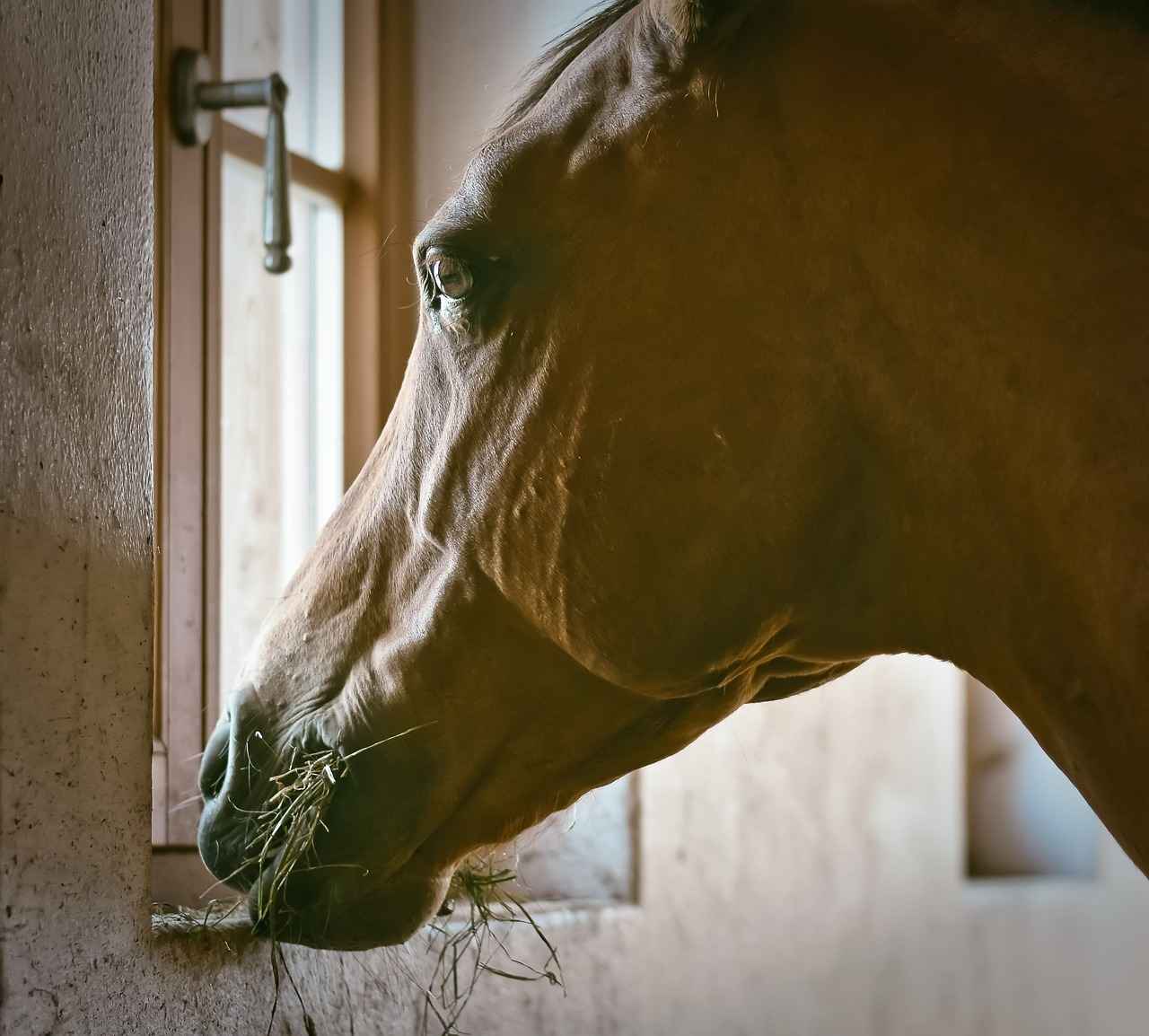 Can You Mix Sambuca in Cocktails?