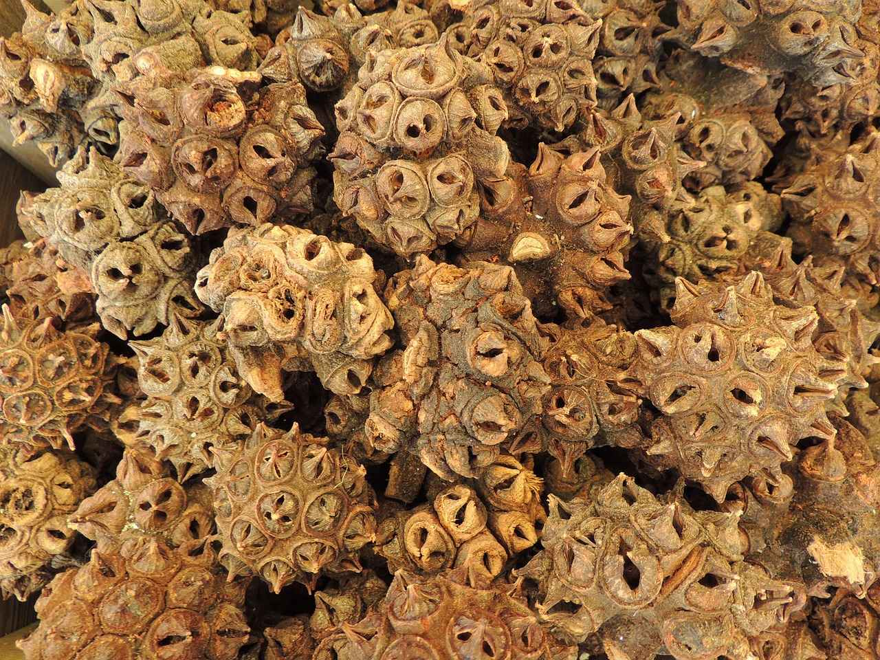 Key Players to Watch