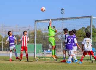 San Jose Earthquakes vs. Sporting Kansas City: Key Stats and Match Insights San Jose Earthquakes vs. Sporting Kansas City: Key Stats and Match Insights