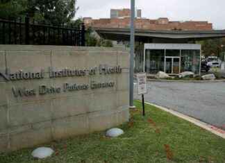 Scientists File Lawsuit Against NIH and HHS for Grant Termination scientists-file-lawsuit-against-nh-and-hhs-for-grant-termination