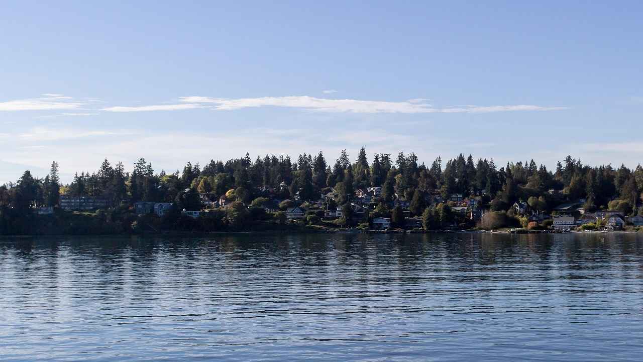 Overview of the Game