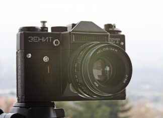 Selenium: An Antioxidant Mineral for Thyroid Health Selenium: An Antioxidant Mineral for Thyroid Health