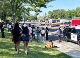 Shooting at Davis Community Picnic Injures 3, Causes Mass Panic shooting-at-davis-community-picnic-njures-3-causes-mass-panic