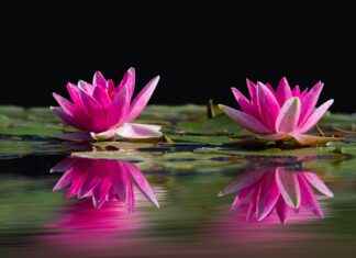 Should You Try a 3-Day Water Fast? Health Benefits Explained Should You Try a 3-Day Water Fast? Health Benefits Explained