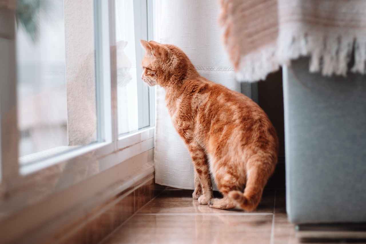 7. Smart Blinds and Curtains