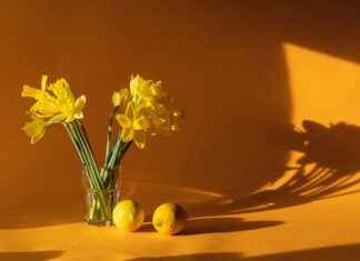 Smart Home Devices to Help You Live a More Sustainable Life Smart Home Devices to Help You Live a More Sustainable Life