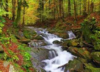 Smile 2 on 123 Movies: Real Link or Fake Stream? Smile 2 on 123 Movies: Real Link or Fake Stream?