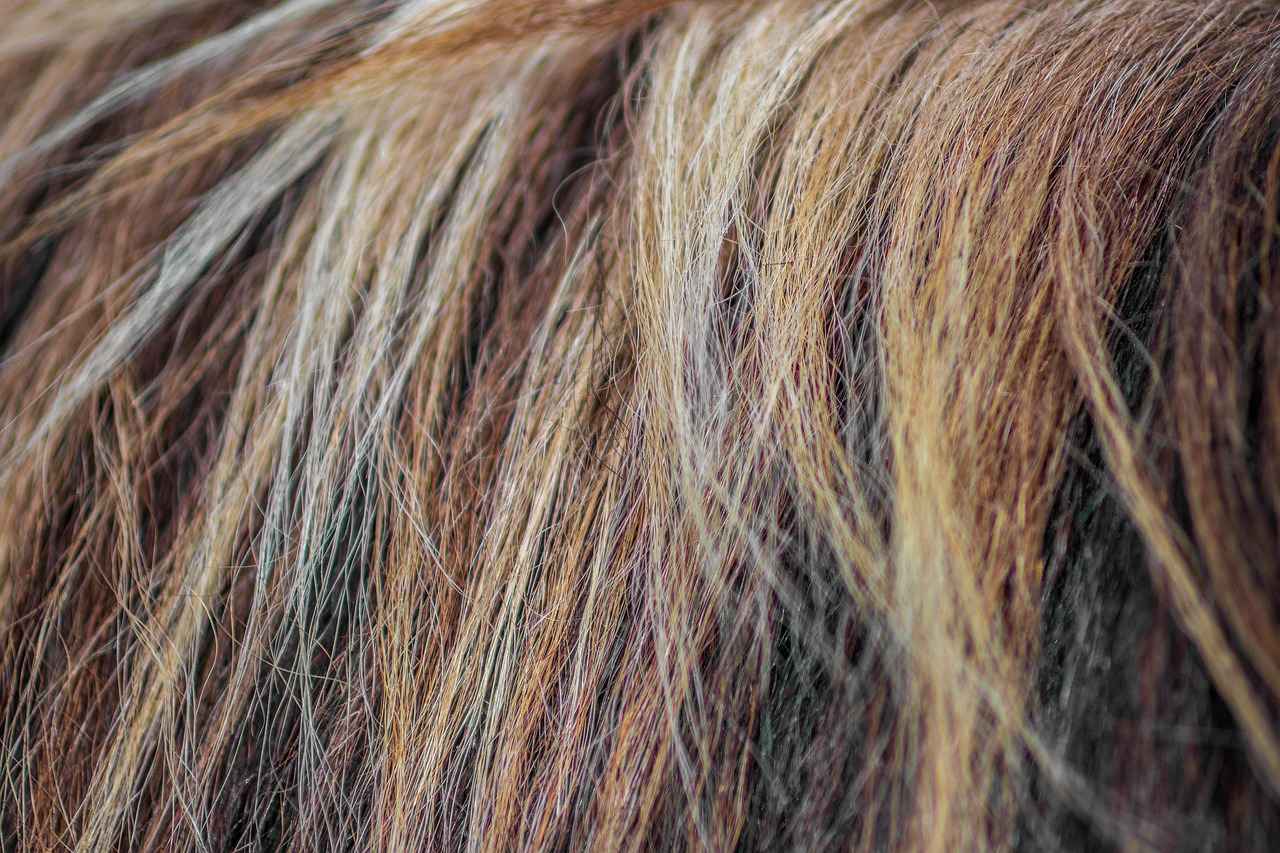 Smile Hair Clinic Review: Is It the Best in Istanbul? 1 Overview of Smile Hair Clinic