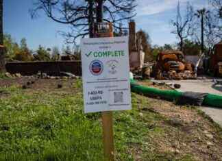 Soil Testing Near Eaton, Palisades Fires Reveals Contamination soil-testing-near-eaton-palisades-fires-reveals-contamination