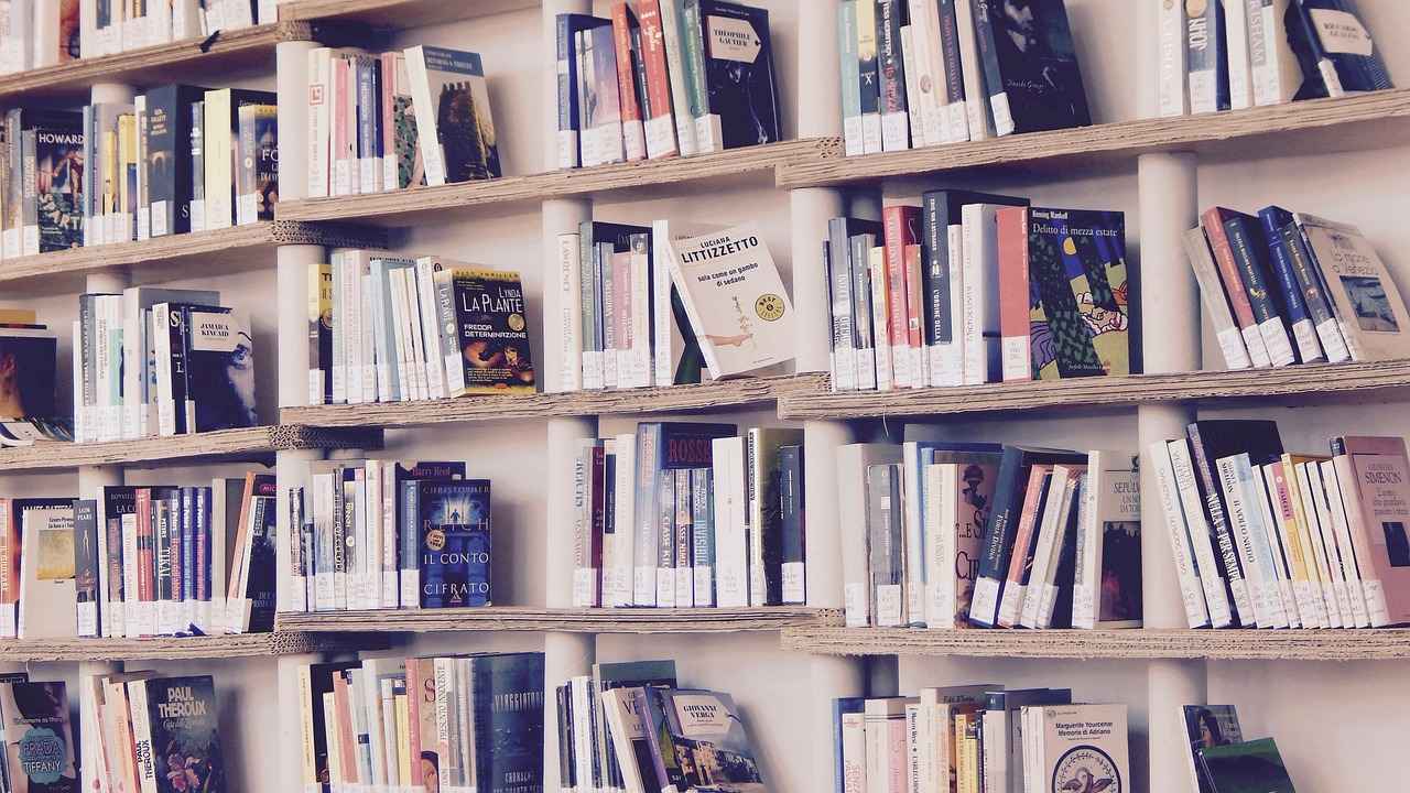 The Role of Solo Latino.net in Cultural Representation