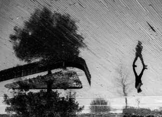 Sophie Rain Spiderman Video: What’s Behind the Viral Clip? Sophie Rain Spiderman Video: What’s Behind the Viral Clip?