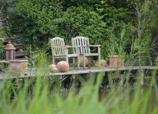 Space-Saving Bed with Almirah Design Ideas for Small Rooms Space-Saving Bed with Almirah Design Ideas for Small Rooms