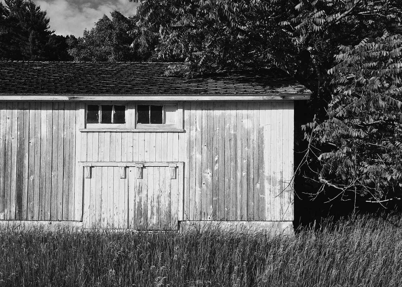 5. Conclusion: Enjoying Spooky Movies Together