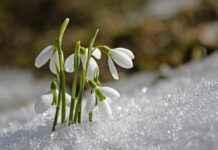 Spring Movies for Kids: Enjoy These Films During the Spring Season Spring Movies for Kids: Enjoy These Films During the Spring Season