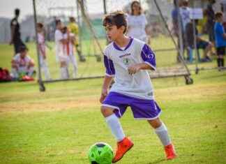 Steelers vs Bengals Match Player Stats Steelers vs Bengals Match Player Stats