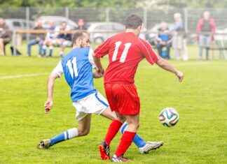 Steelers vs Denver Broncos Match Player Stats Steelers vs Denver Broncos Match Player Stats