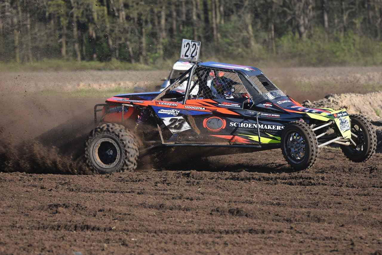 Overview of the Matchup