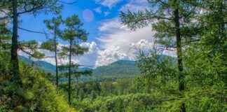 Strands Siberia Explained: Why Everyone’s Talking About This Brand Strands Siberia Explained: Why Everyone's Talking About This Brand