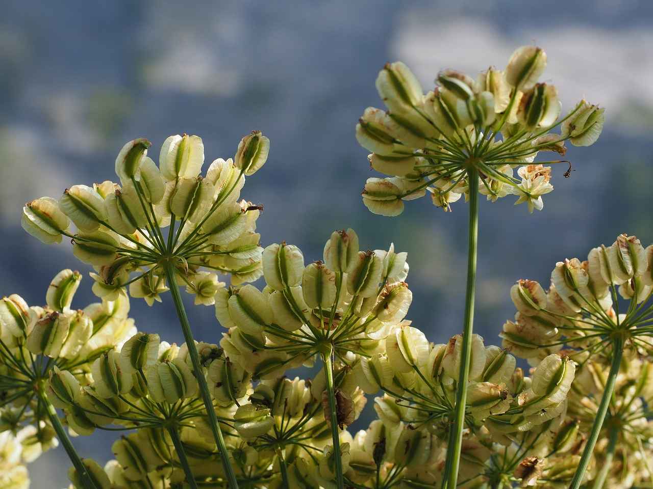 Customer Reviews and Feedback