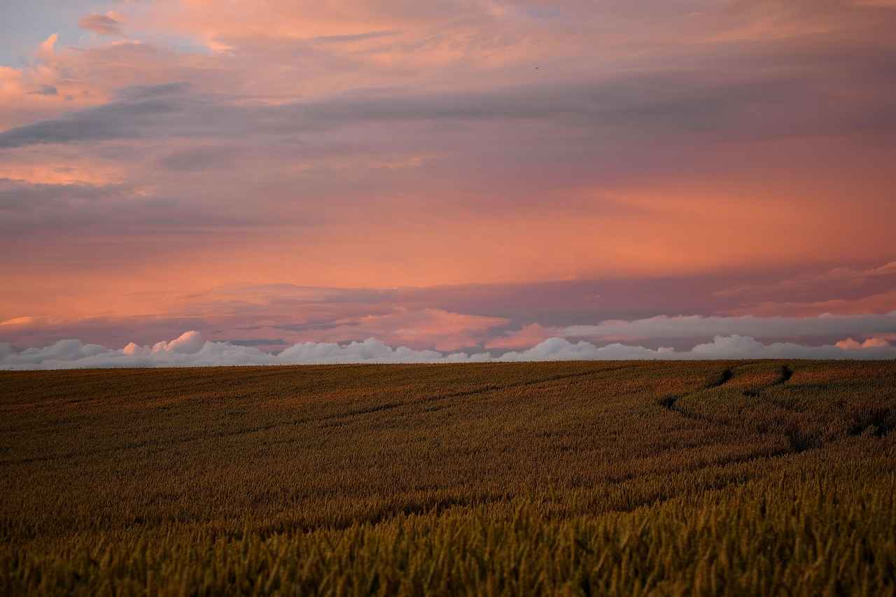 Frequently Asked Questions about StreamEast