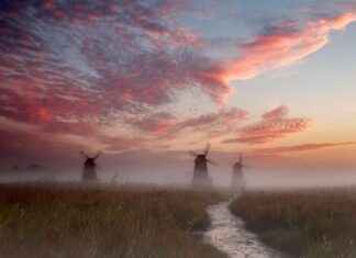 StreamEast Full Sports Guide: How to Stream Every Event in 2025 StreamEast Full Sports Guide: How to Stream Every Event in 2025