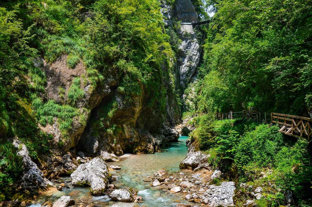 How to Access StreamEast for IPL Matches