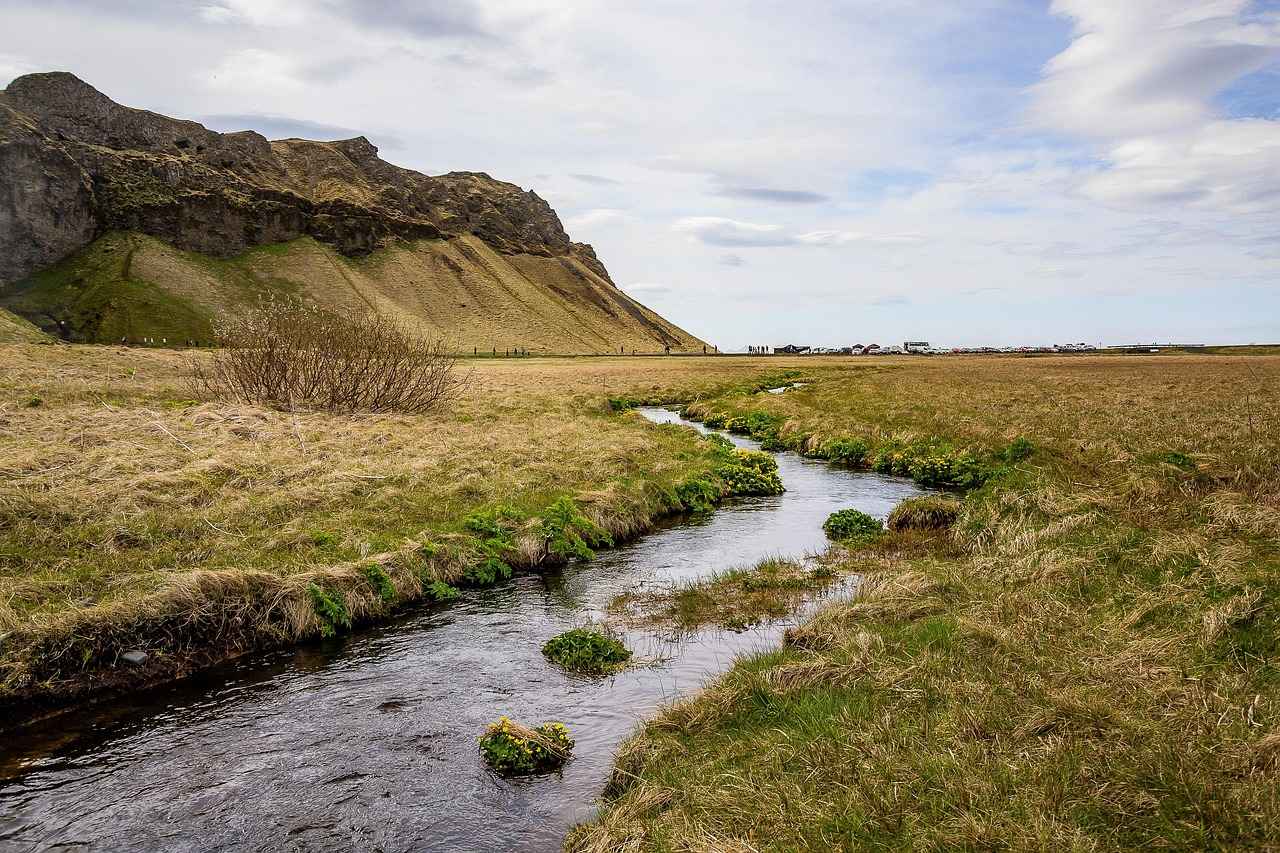 Top Competitors of StreamEast