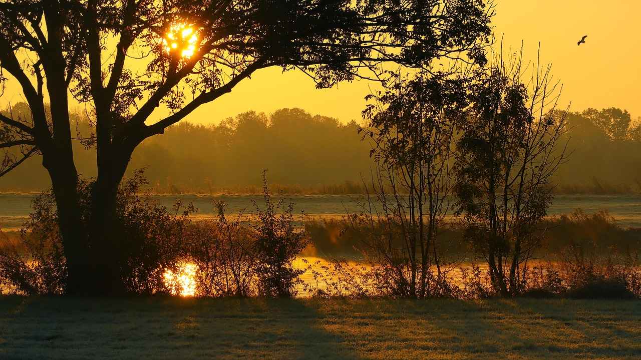 How to Navigate the StreamEast Interface