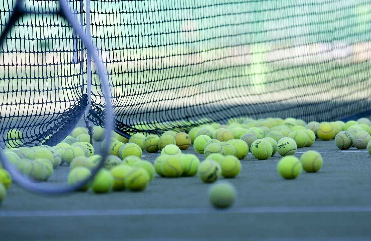 StreamEast US Open Tennis: How to Watch Online for Free 8 What Other Sports Can You Watch on StreamEast?
