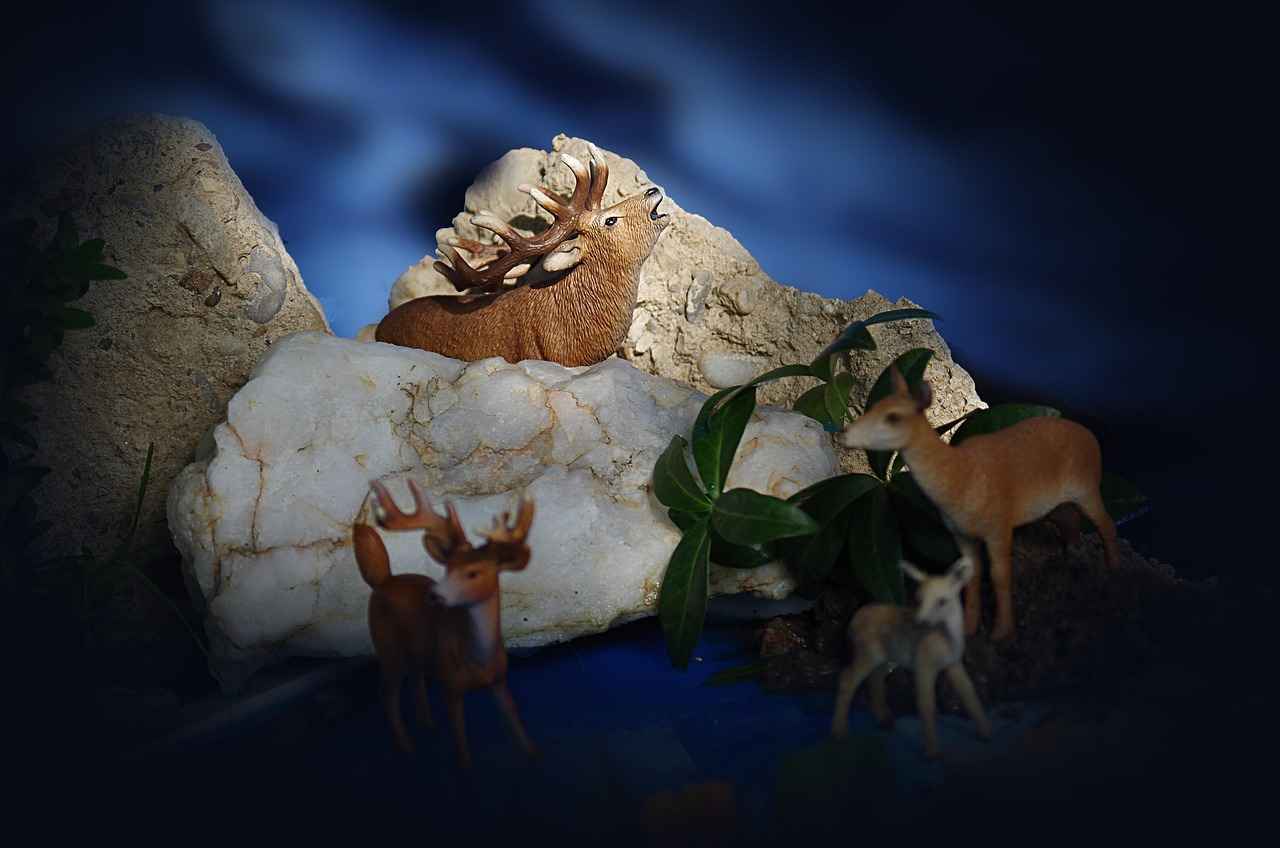 Styled Bob Haircut: How to Achieve the Perfect Bob for Your Face Shape 4 How to Maintain Your Styled Bob Haircut?