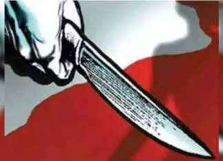 Sub-inspector Stabbed in Northwest Delhi: Latest News and Updates sub-inspector-stabbed-in-northwest-delhi-latest-news-and-updates