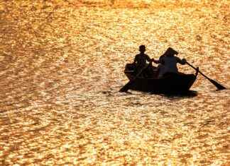 Summer Movies for Kids in 2024: A Season of Family Fun Summer Movies for Kids in 2024: A Season of Family Fun