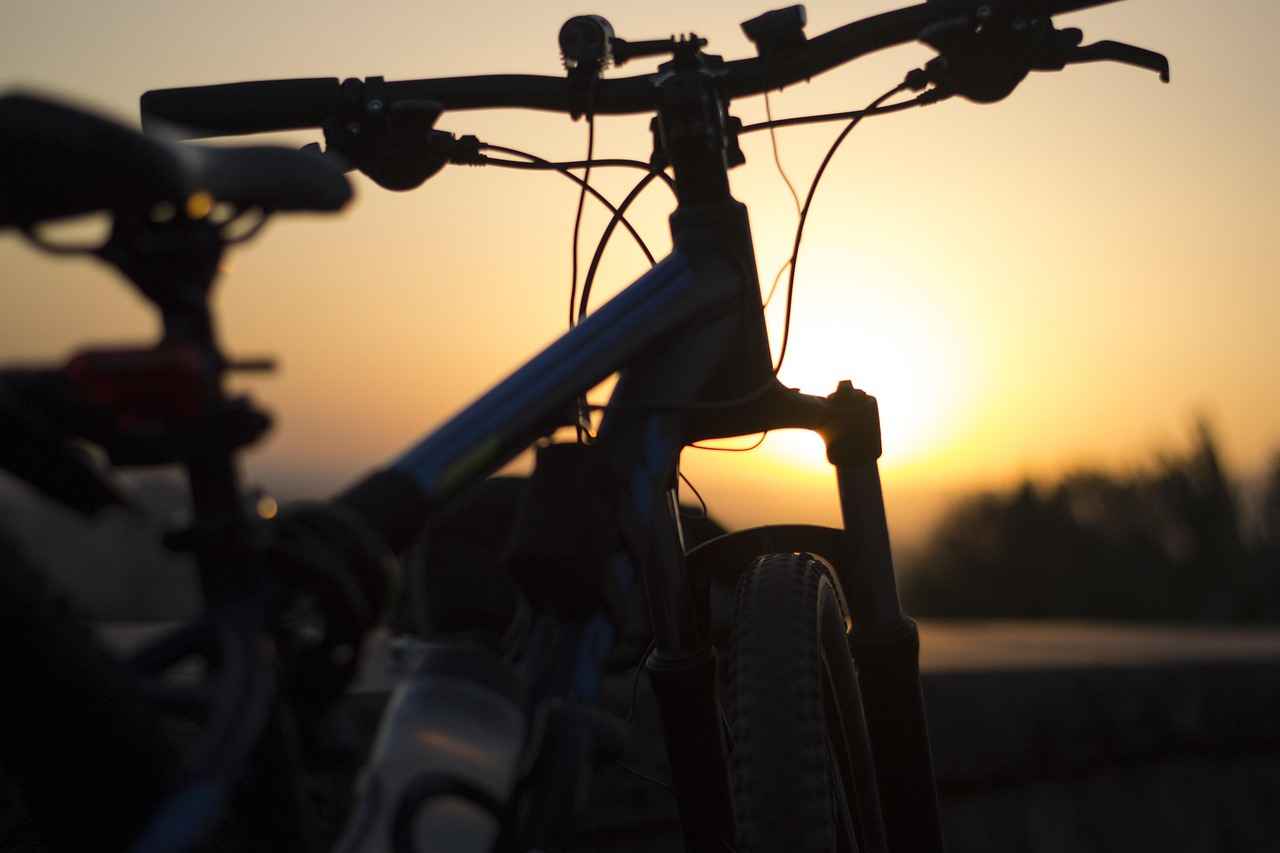 Super 73 Electric Bike: A Stylish Option for Urban Commuters 6 Conclusion: Is the Super 73 Right for You?