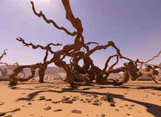 Supporting Adrenal Health with Licorice Root Extract Supporting Adrenal Health with Licorice Root Extract