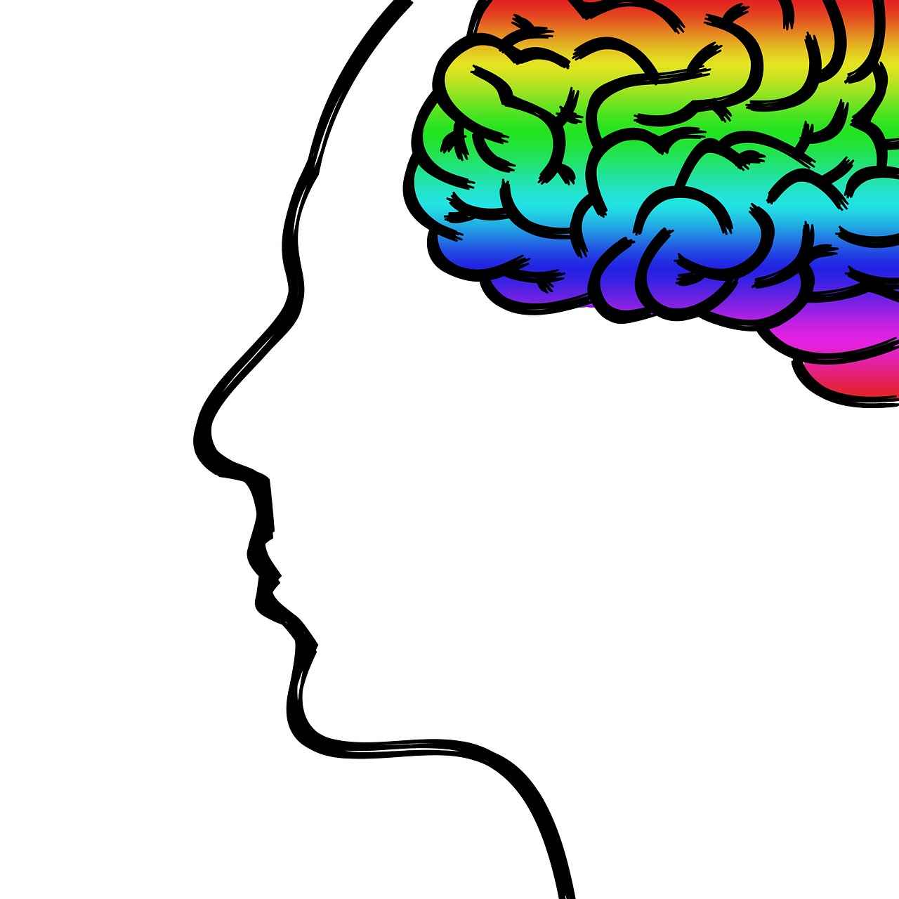 Supporting Brain Function with Alpha GPC Supplements 7 Conclusion: Is Alpha GPC Right for You?