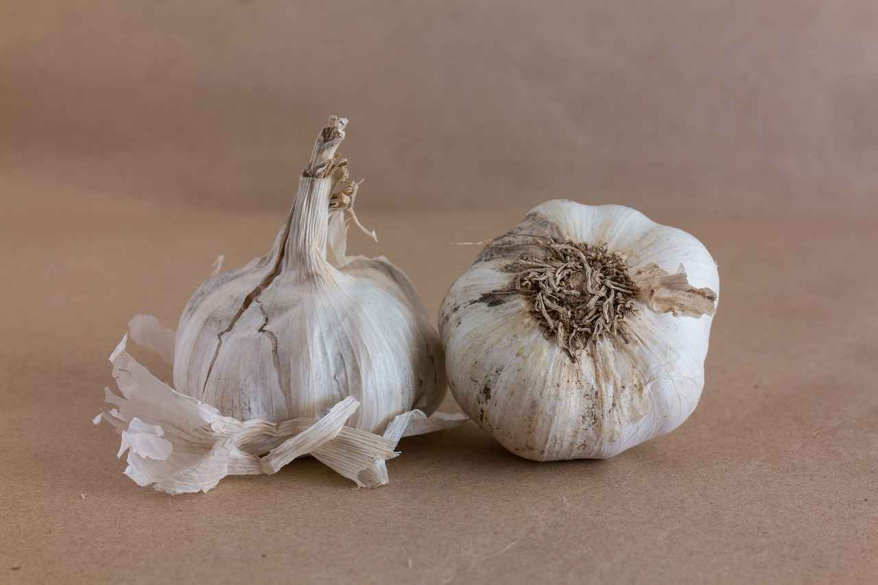 Supporting Cardiovascular Health with Black Garlic Extract 4 Conclusion: The Future of Black Garlic in Cardiovascular Health