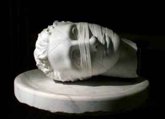 Supporting Cellular Health with Resveratrol Complex Supporting Cellular Health with Resveratrol Complex