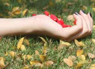 Supporting Cognitive Function with CDP-Choline Supporting Cognitive Function with CDP-Choline