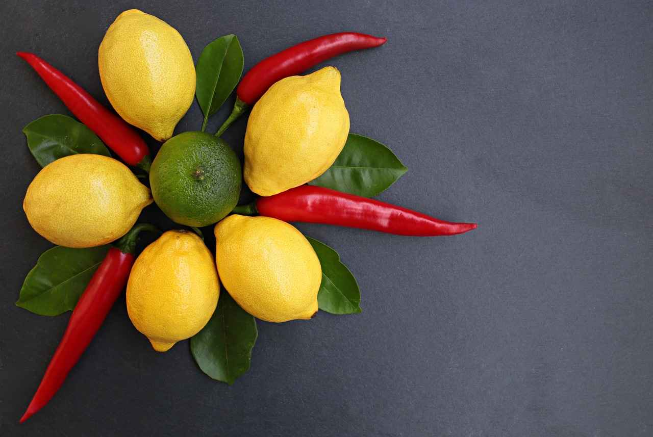 How to Incorporate CDP-Choline into Your Diet