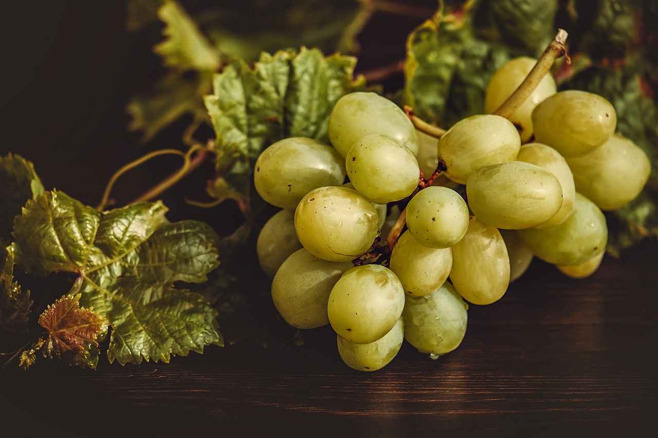 How to Incorporate Omega-7 into Your Diet