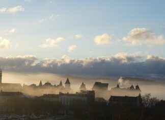 Supporting Immune Health Naturally with Pau D’Arco Supporting Immune Health Naturally with Pau D'Arco