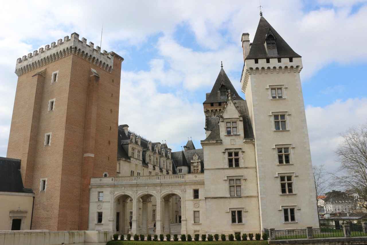 What is Pau D'Arco?