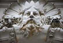 Supporting Menopause Symptom Relief with Black Cohosh Supporting Menopause Symptom Relief with Black Cohosh