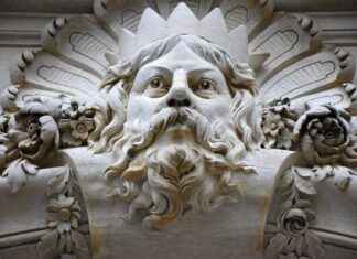 Supporting Menopause Symptom Relief with Black Cohosh Supporting Menopause Symptom Relief with Black Cohosh