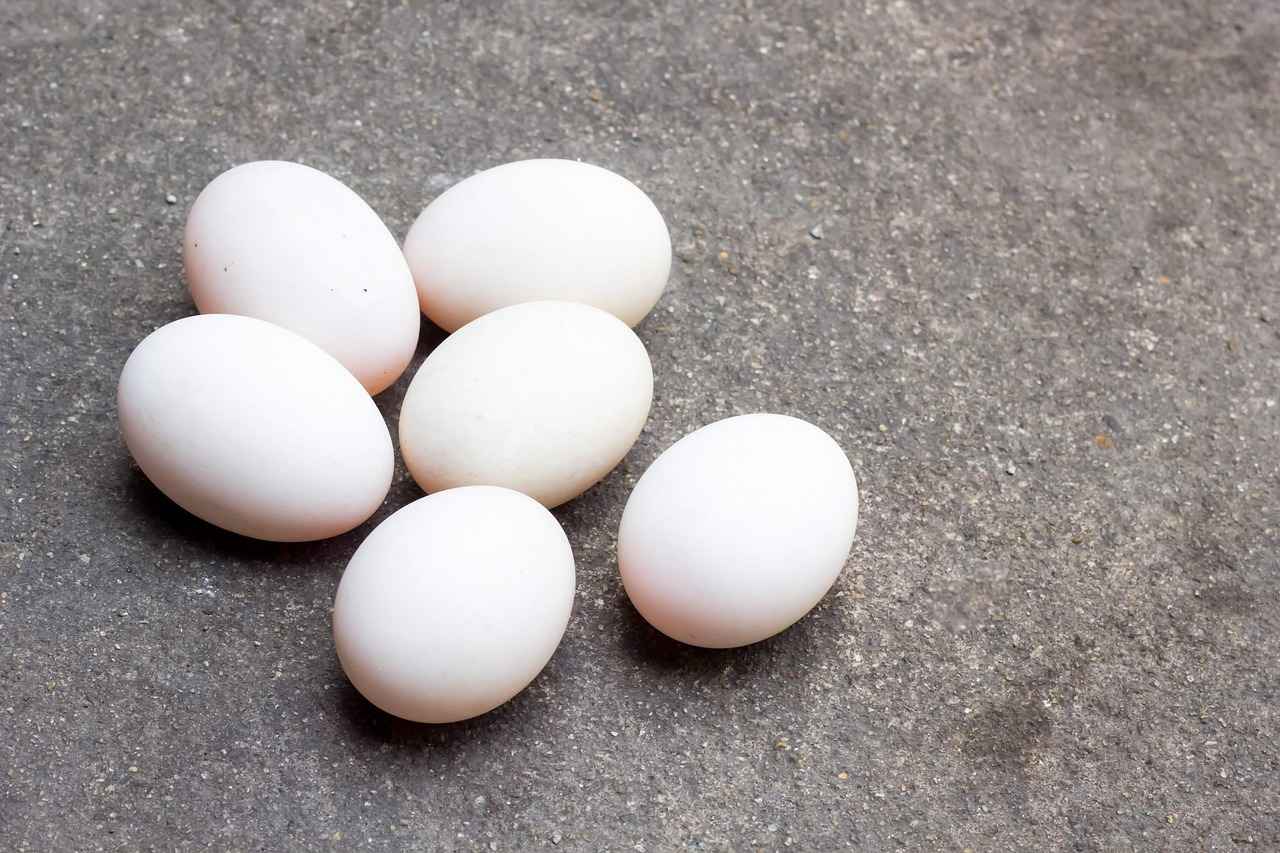 Supporting Muscle Definition with Casein Protein 3 How to Incorporate Casein Protein into Your Diet