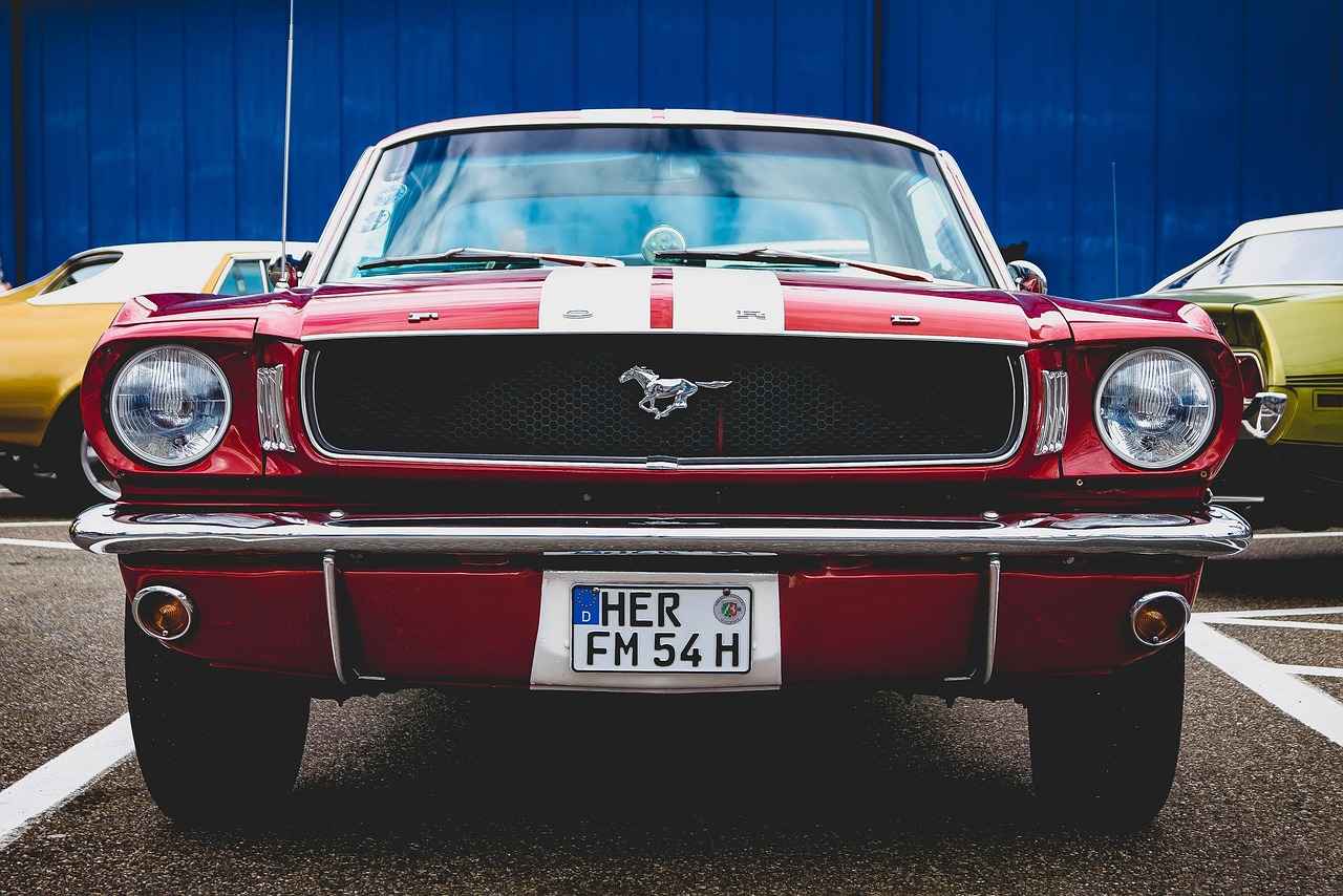 Supporting Muscle Endurance with Beta-Alanine 5 Conclusion: Is Beta-Alanine Right for You?