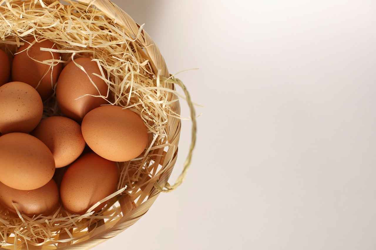 Supporting Muscle Growth with Plant-Based Protein 8 8. Success Stories: Athletes on Plant-Based Diets